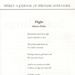 Lyrical Writing (Poems & Songs): Flight